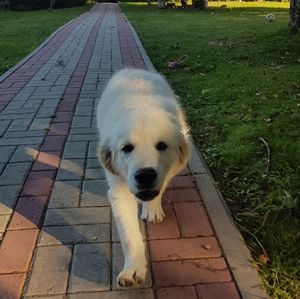 Meet your Posher, Ning